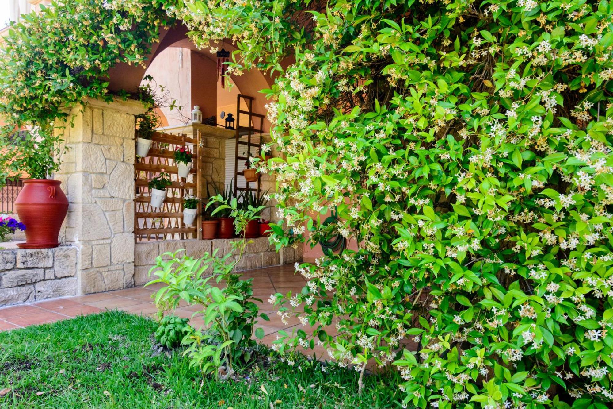 La Luna House Пефкохори Екстериор снимка